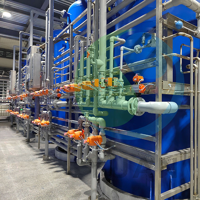 Energy-saving High Cost Performance Allulose Turnkey Project