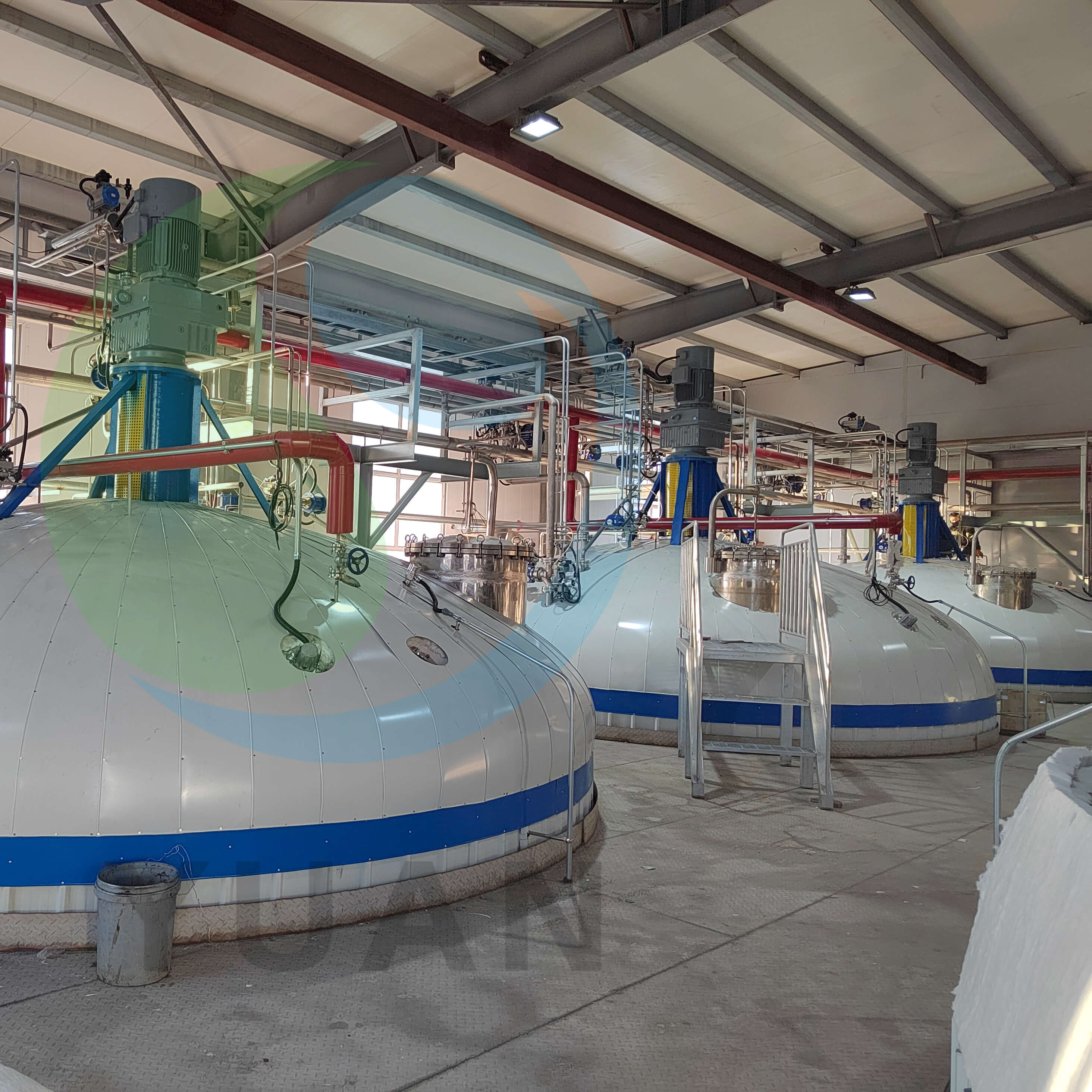 Pioneering Excellence in Citric Acid Production Line