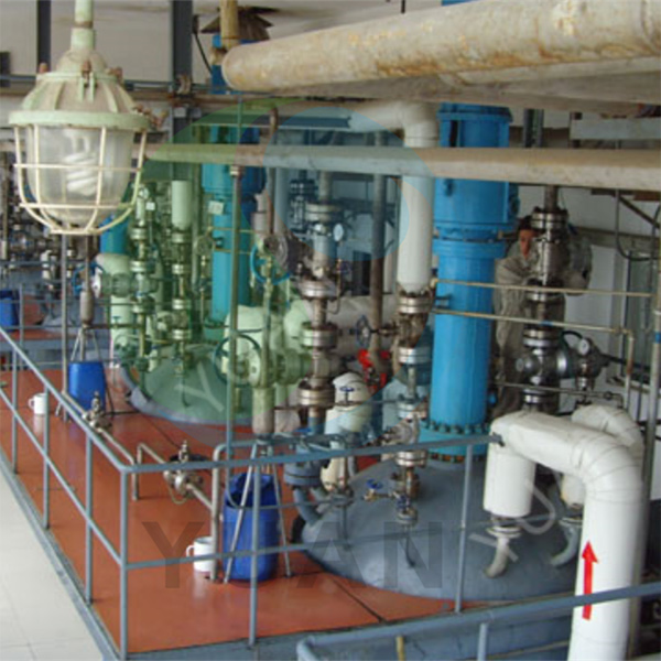 Elevating Quality with Our Leading Sorbitol Production Line