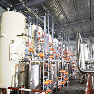 Desalting System
